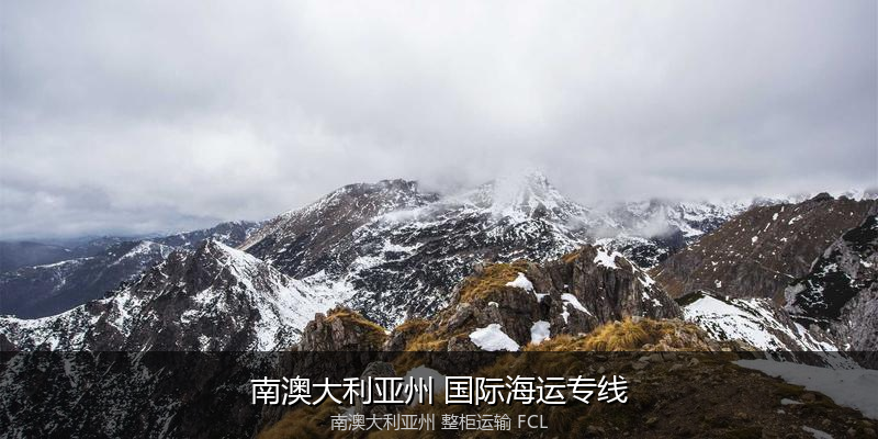 海运拼箱与整柜运输优劣对比