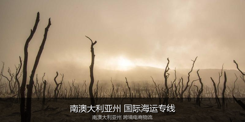澳大利亚主要港口海运服务对比